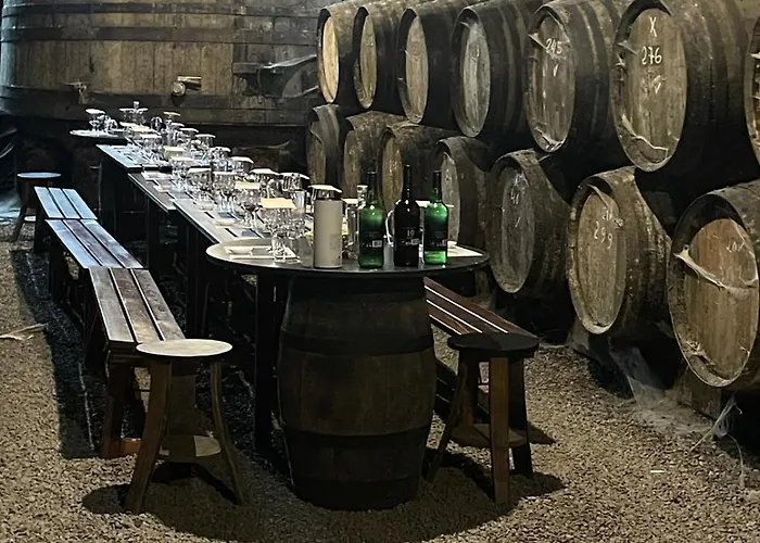 Zd Moreira Flats B By Portoproperties4you Апартаменты