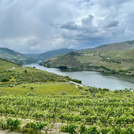 Zd Moreira Flats B By Portoproperties4you