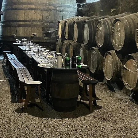 Zd Moreira Flats B By Portoproperties4you Appartamento