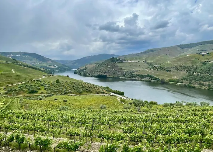 Zd Moreira Flats B By Portoproperties4you